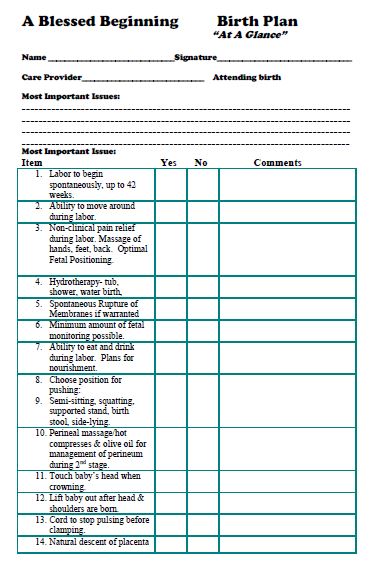 Sample Birth Plan